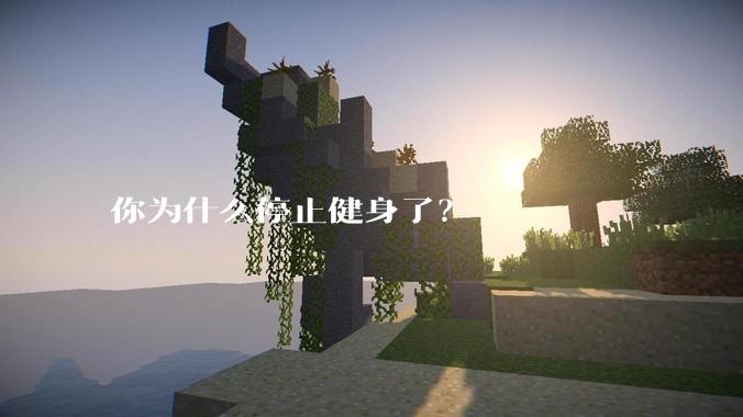 你为什么停止健身了？